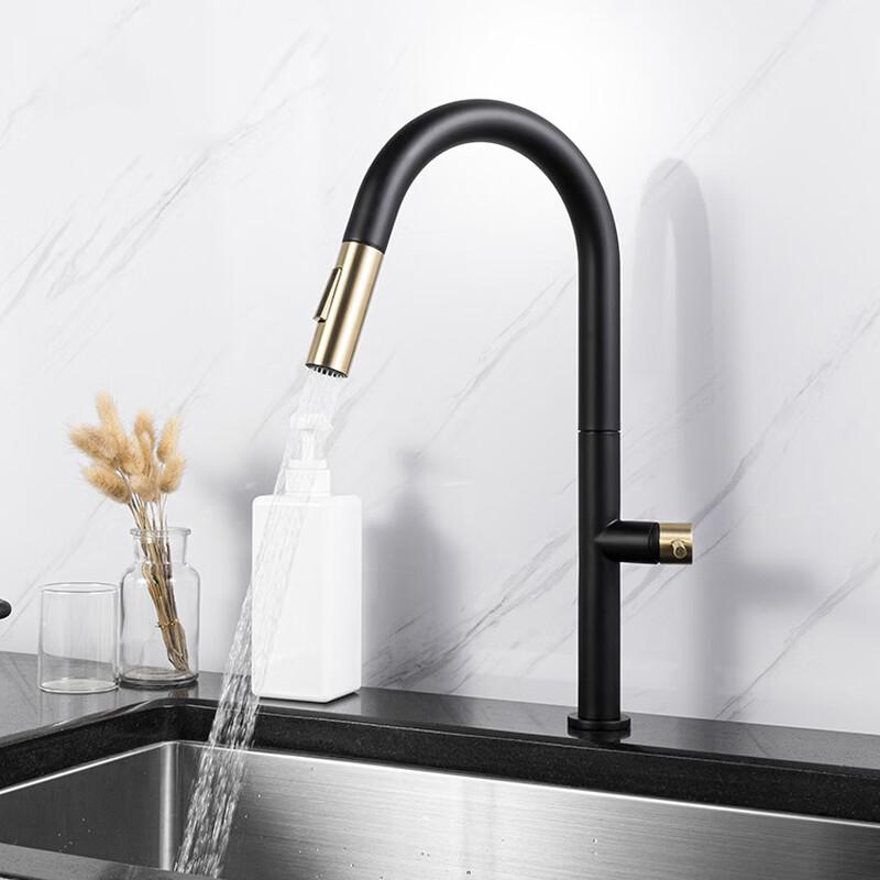TLXT Stainless Steel Kitchen Sink Faucet with Pull-out Sprayer