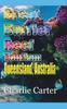 Libro Great Barrier Reef Tourism : Queensland, Australia