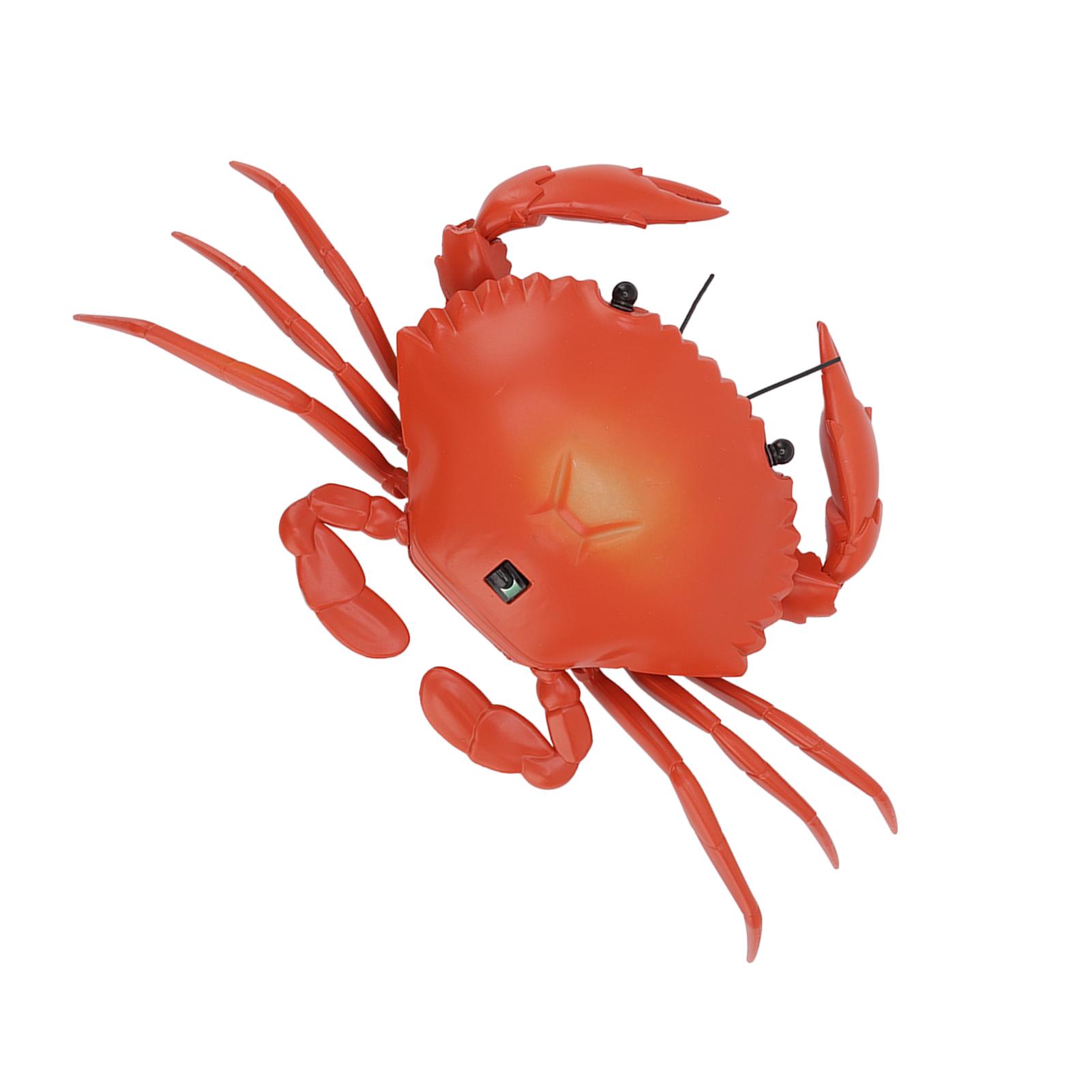 

RC Crab Toy Educational Simulated Animals Electric Crab Animal Model for Kids Birthday Gift