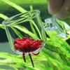 Mini Aquarium Decoration Gardening Vase Plant Cup With Suction Holder Fish Tank Red Worm Feeder