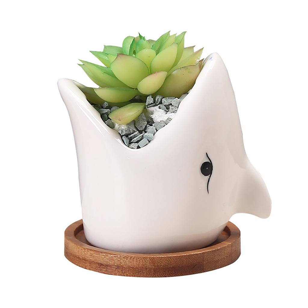  Cactus Cartoon Cute Personality Ornament Ceramic Flowerpot