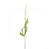 Veronica Artificial Plant