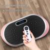 Ledway R170 Vibration Plate Exercise Machine CN Plug (adapter Included)