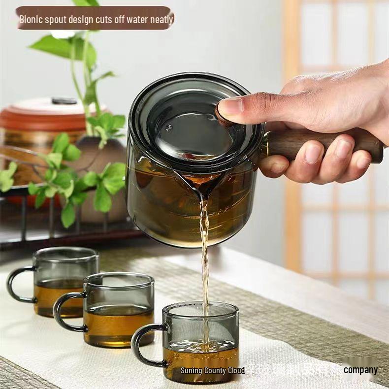 

Интуитивно понятный стеклянный чайник с боковой ручкой и встроенным фильтром для прямого нагрева Clear Intuition