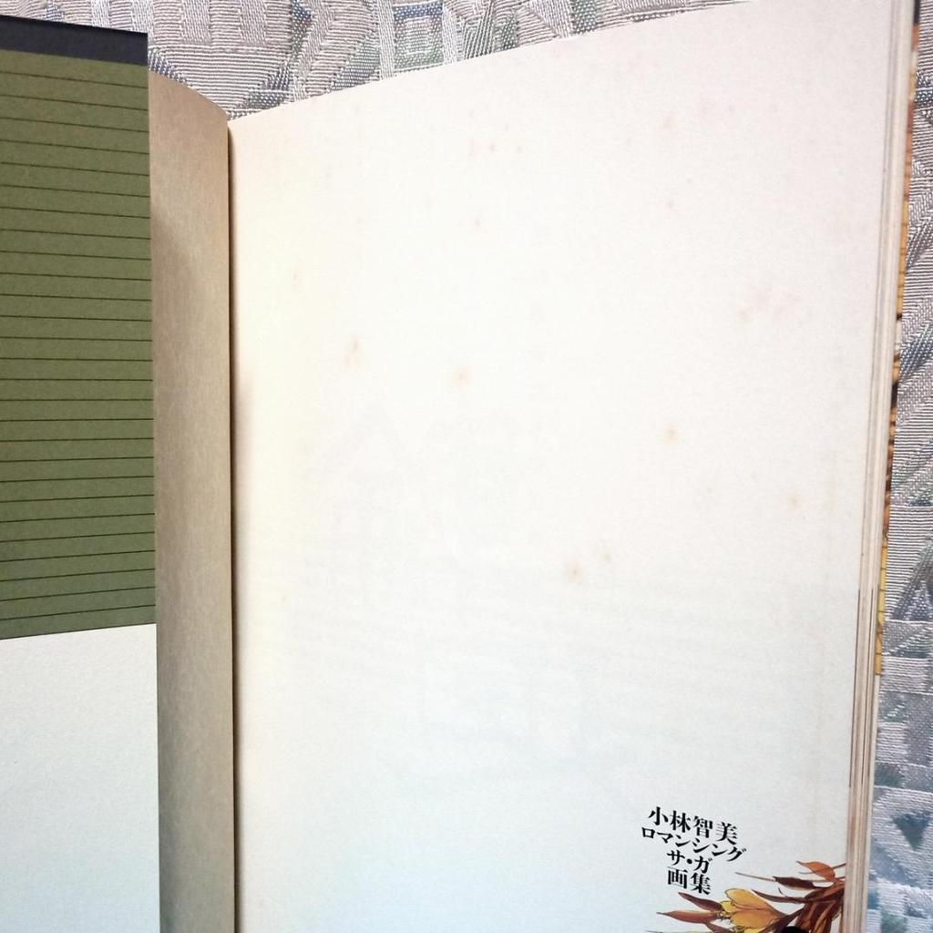 [USED] SFC Tokiorito Kobayashi Tomomi Romancing SaGa Art Book Square Super Famicom