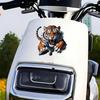 2 PCS 3D Tiger Waterproof Vinyl Decals Fierce Design for Car Truck Bumper Motorcycle Laptop Wall Decor A-148