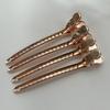 20Pcs DIY Hair Salon Fixed Clips Simple Alligator Hair Clips  Hair Accessory