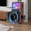 HiVi Portable KTV Karaoke Speaker System