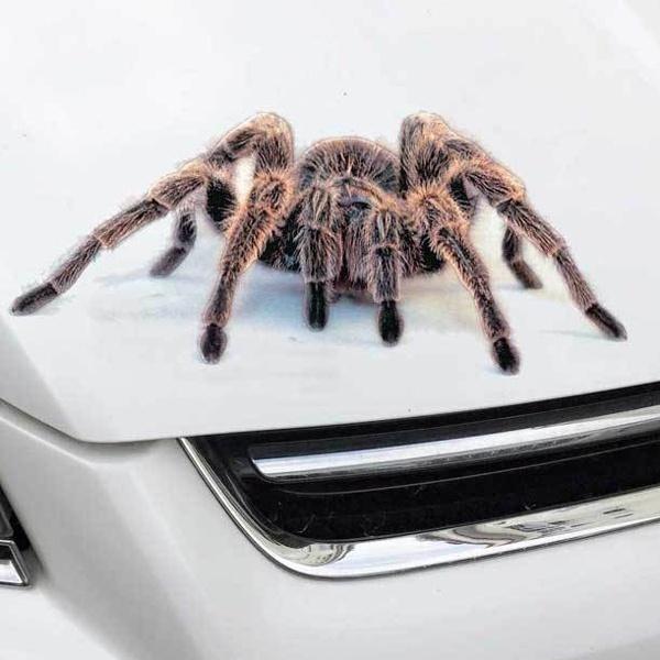 Hochwertige 3D Autoaufkleber mit coolen Spinnenmotiven für eine einzigartige Dekoration