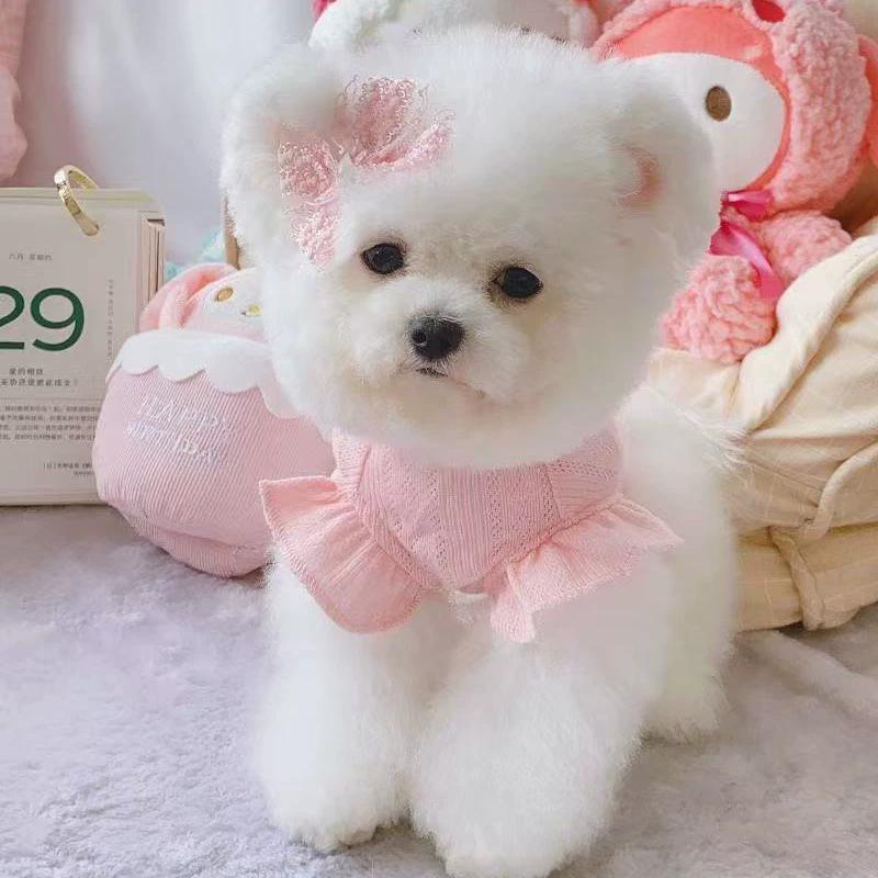 Dünner atmungsaktiver Hundemantel für kleine Rassen Teddy Pomeranian Bichon Pudel Schnauzer - Welpen bis erwachsene Haustierkleidung