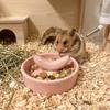 Fruit Shape Pet Feeding Bowl Ceramic Bird Feeding Dish Easy Clean Hamster Water Bowl  Pet Cage