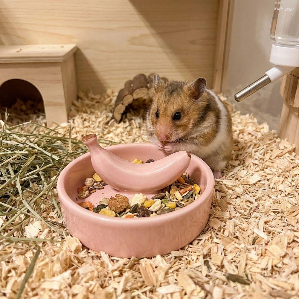 Fruit Shape Pet Feeding Bowl Ceramic Bird Feeding Dish Easy Clean Hamster Water Bowl Pet Cage