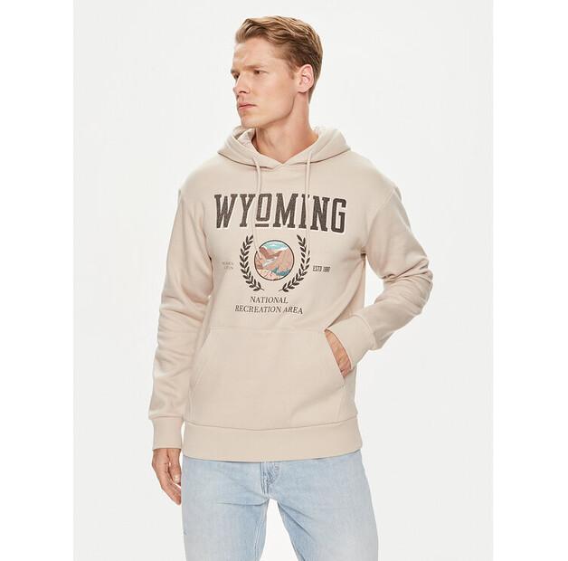 Толстовка Jack & Jones Bradley EU M