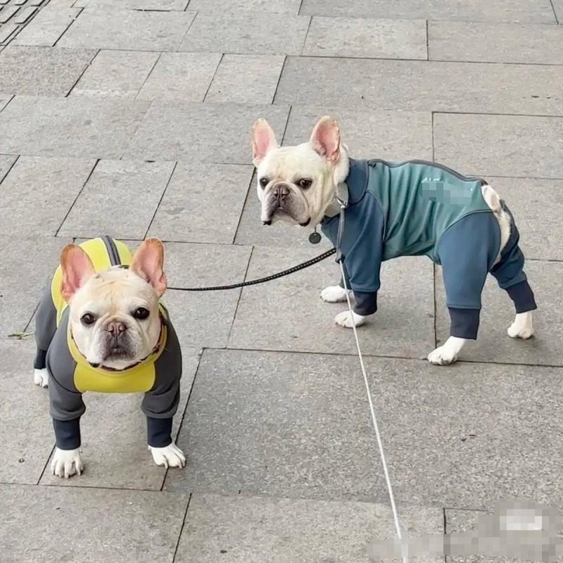 Warm Fleece-Lined Four-Legged Dog Sweater Small To Medium Breeds Winter Coat Pet Clothing