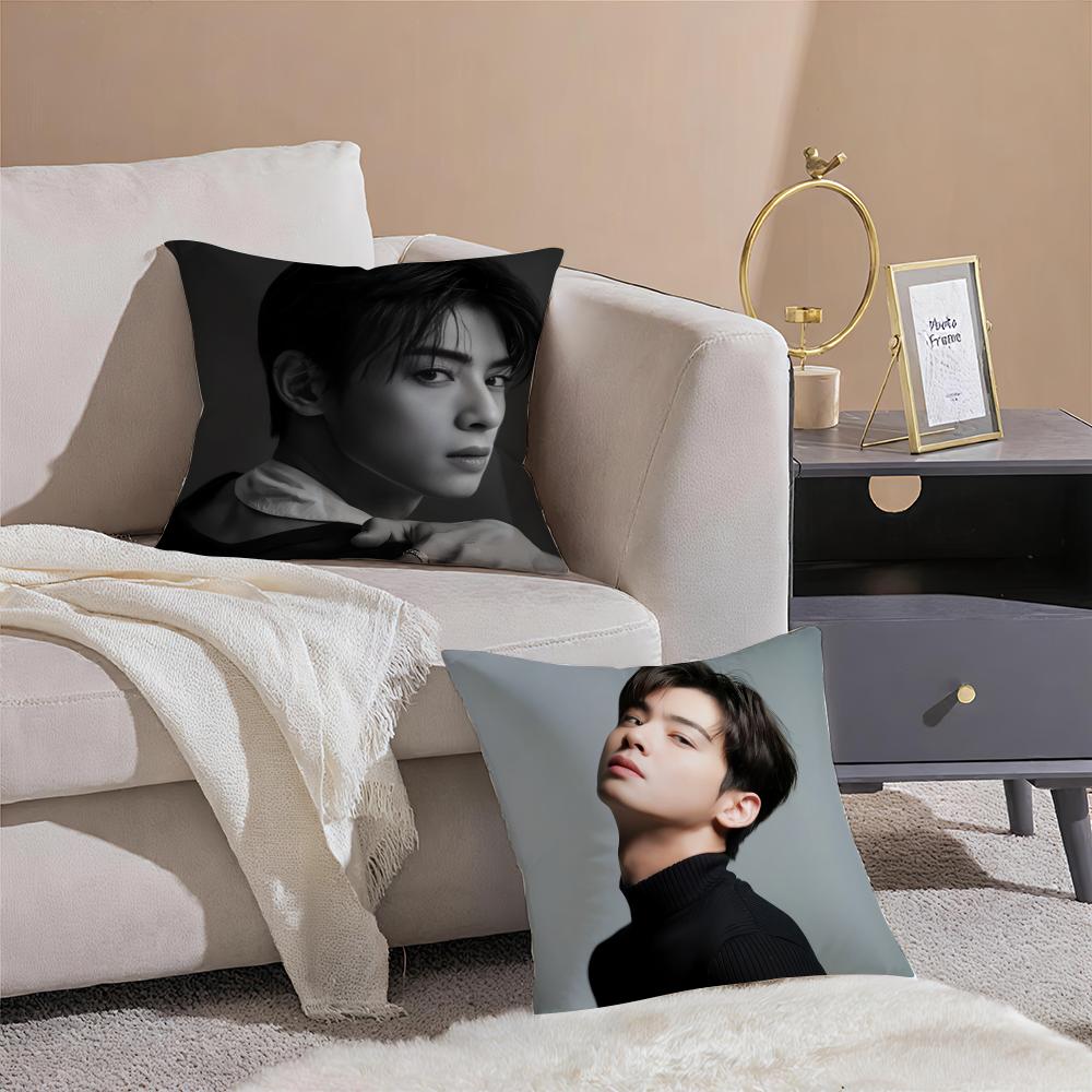 Singer Cha E-Eun W-Woo Cushion Cover Silky Short Plush With Invisible Zipper Dustproof Sofa Pillow Cover For Home Decor