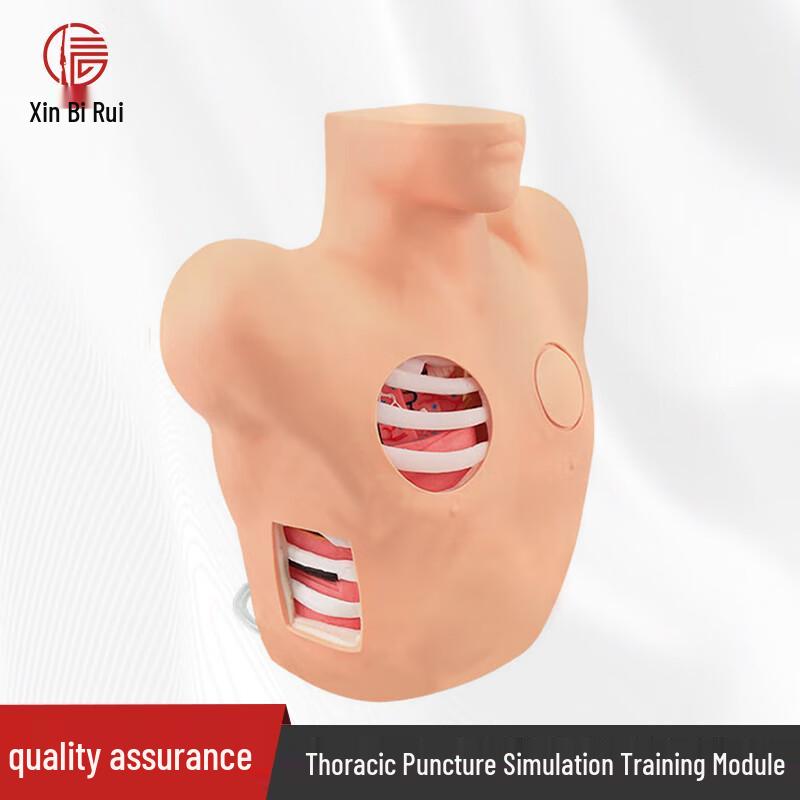 Thoracic Puncture Drainage Training Manikin