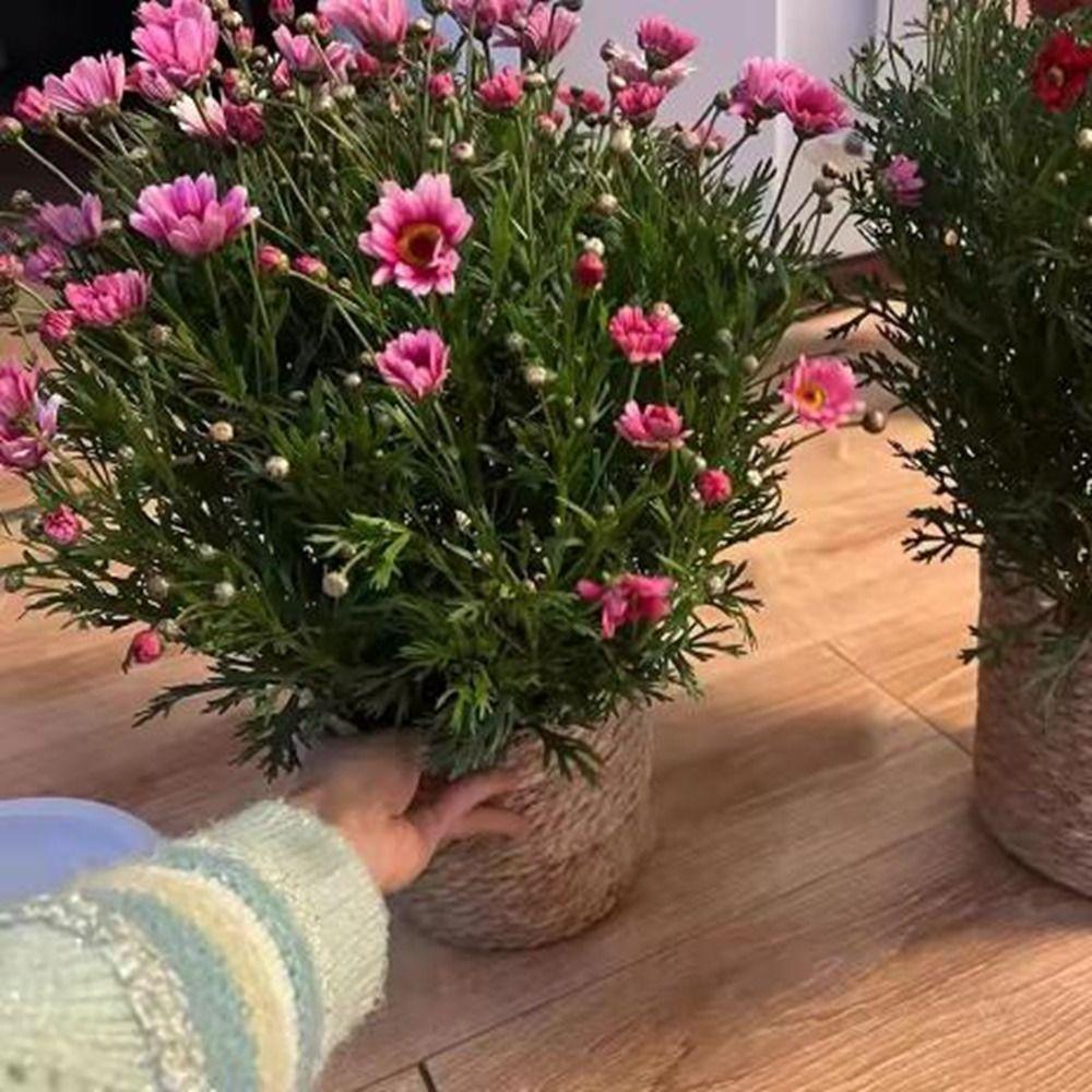 S/M/L Straw Weaving Flower Plant Pot Decorative Flowerpot Storage Baskets Flower Basket  Outdoor