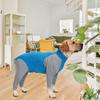 Pet Recovery Suit High Elasticity Comfortable Convenient Soft Allergy Free Prevent Licking Accelerate Wound Heal Dog Anti-licking Surgery Jumpsuit