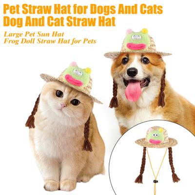 Abbigliamento e scarpe – Cappelli per cani