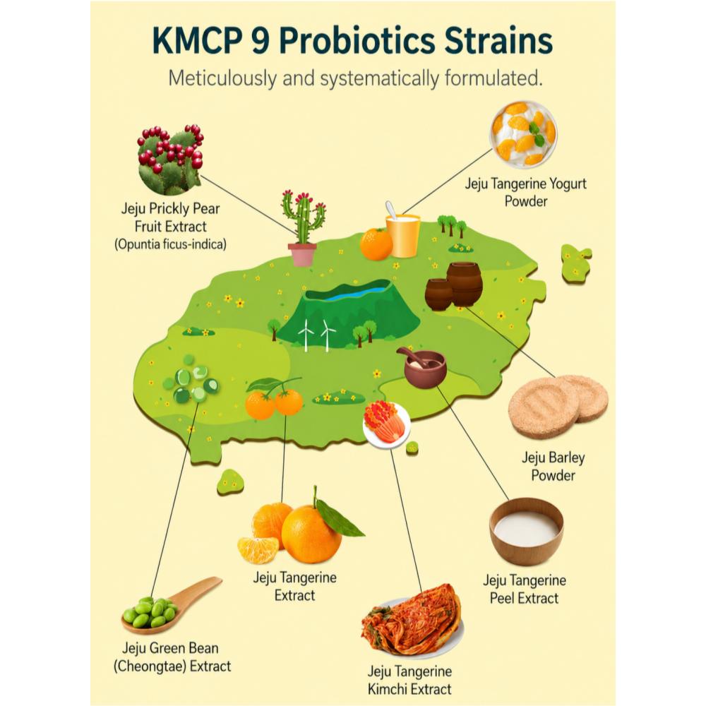 Lactotoc Probiotics 60stick 2types / Vitamin C / Immune (Vitamin C,D and Zinc)