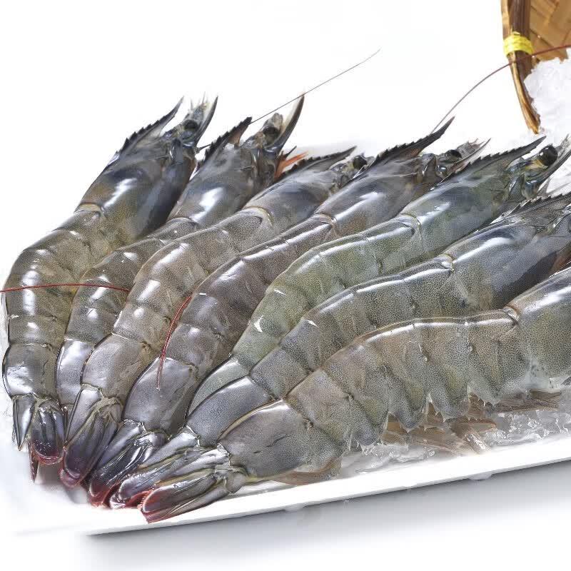 Thai Live Frozen White Shrimp