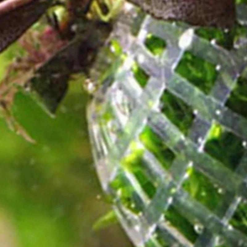 1Pcs Aquatic Pet Supplies Decorations Aquarium Moss Ball Live Plants Filter Pet Decor