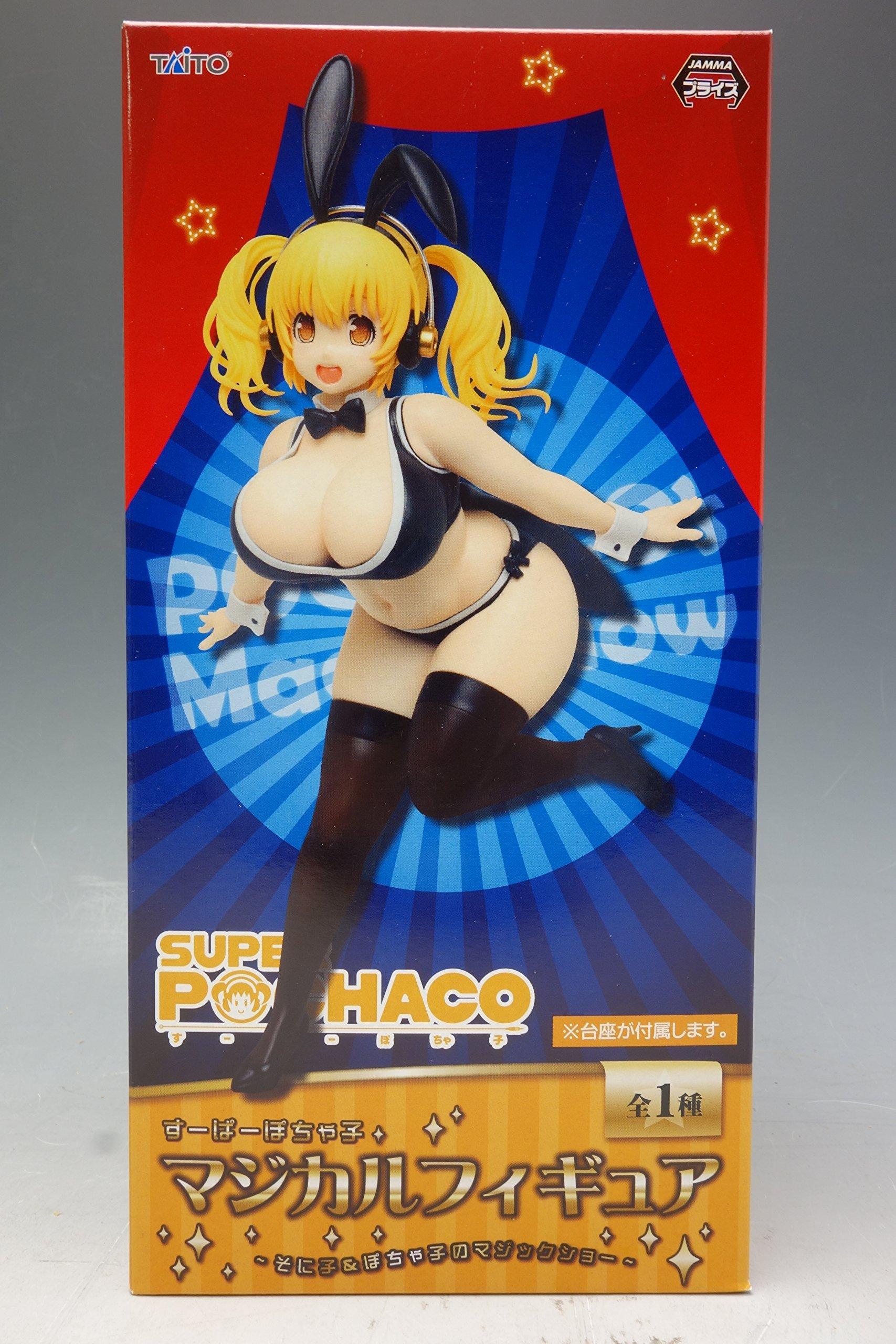 

Super Pochaco Magical Figure Sonico Pochaco Magic Show &