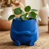 Smiling Face Planter 3D Plant Pot Printed Cute Decorative