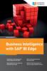 The Business Intelligence with SAP BI Edge Book