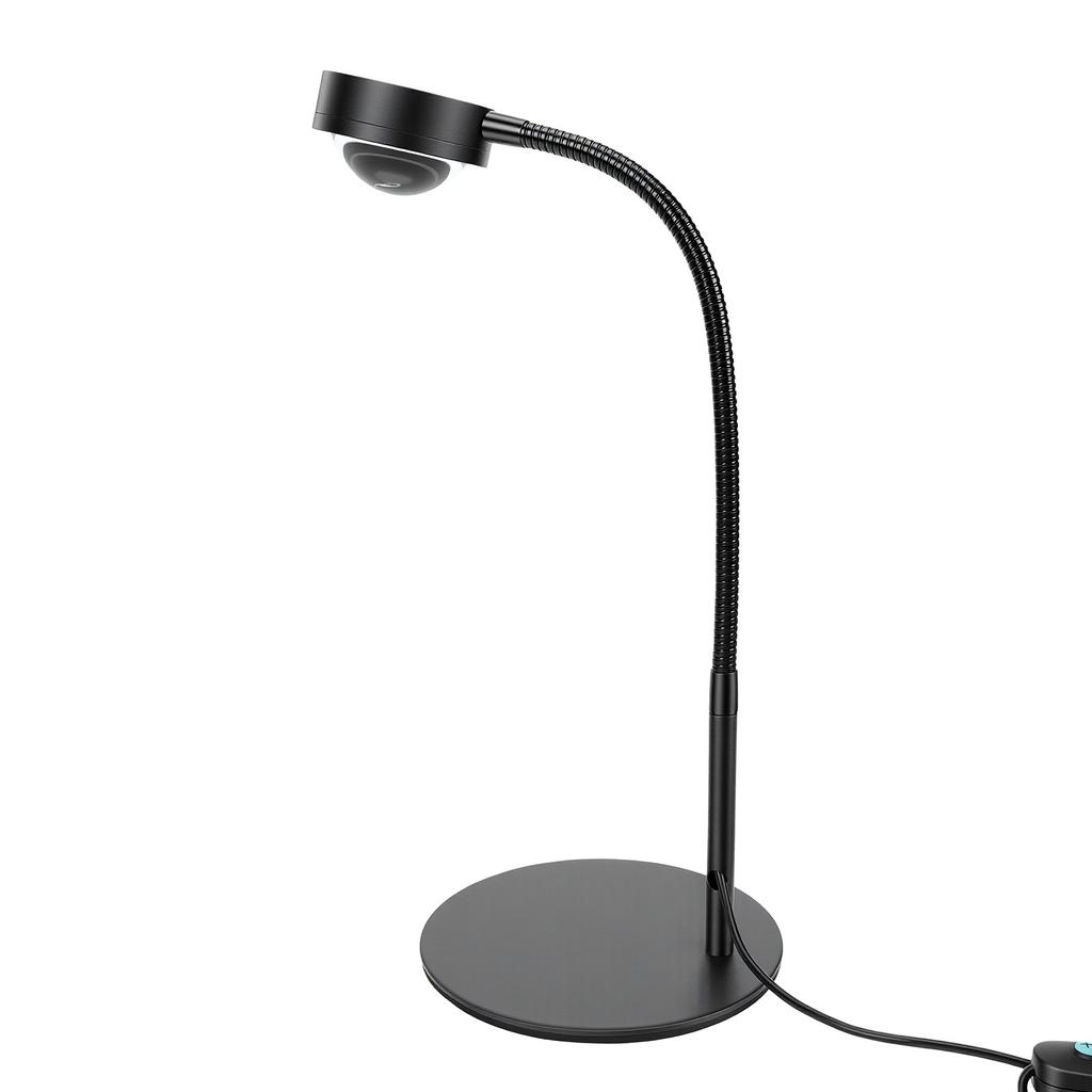 Jewelry     Gooseneck 40cm Heavy Base