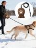 Köpek – Köpek Tasmaları ve Tasma Kayışları