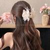 Spitzennetz Blume Haarspange Damen Nischen-Design Haaraccessoire Am Hinterkopf, Trendiger Haifisch-Haarspangen-Stil