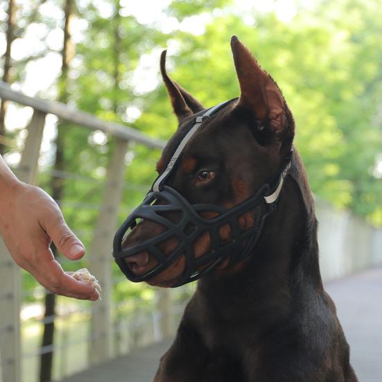 Dog Muzzle Buckle Design Innovative Wear-resistant Sturdy Tear-resistant Anti-bite Hollow Out Pet Anti-Barking