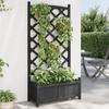 Vidaxl Planter with Trellis, Black, Solid Fir Wood