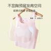 Modal Girls Underwear Girls Development Period Small Vest Children Anti-bumping Point One Stage Student Bra Medium and Long