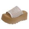 Thick Bottom Heightened Slope Heel Birkencool Slippers Women's Summer Wear 2025 New Model with Skirt Mesh Hollow One-word Drag