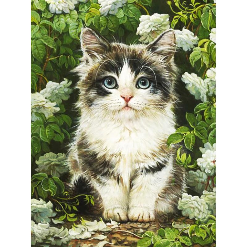DIY 5D Flowers Diamond Mosaic Animal Diamond Painting Cat Diamond Embroidery Cross Stitch Picture Of Rhinestones Handcraft Gift