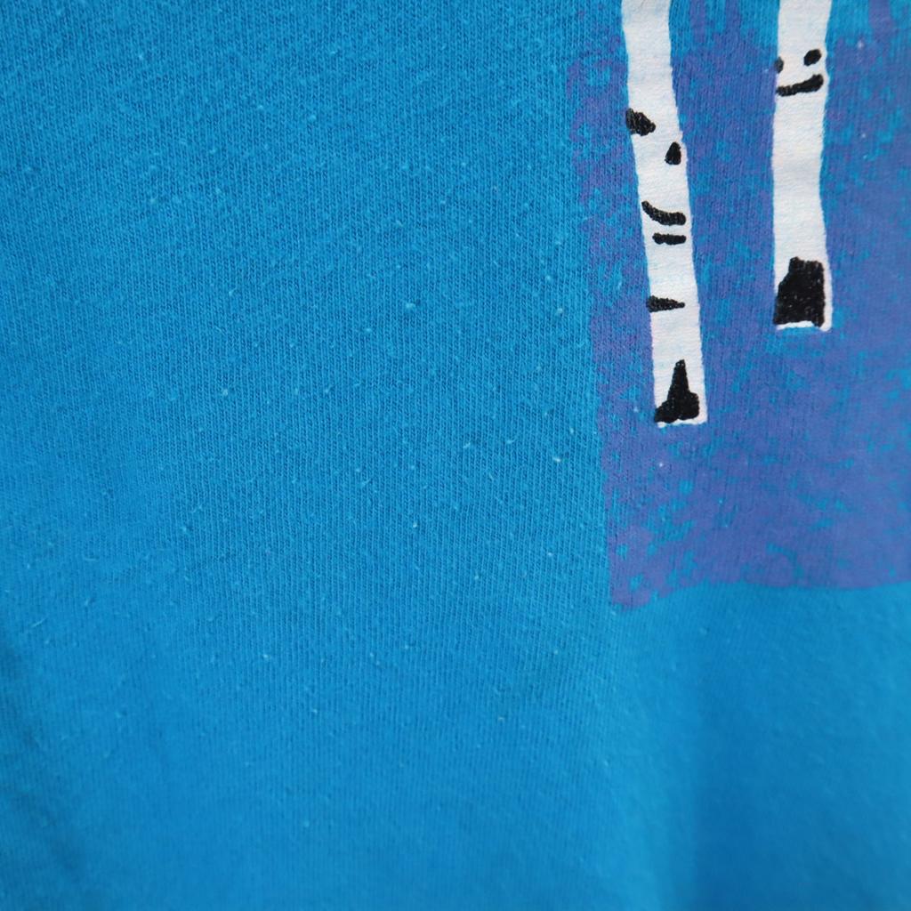 Hanes 80s 90s Made in USA Old Short sleeve T-shirt XL blue Single stitch Men's Used