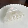 Hair Claw Ultra-Stable Grip Shark Hair Clip Acetate Sheet Lightweight Back Head Shark Hair Claw Hair