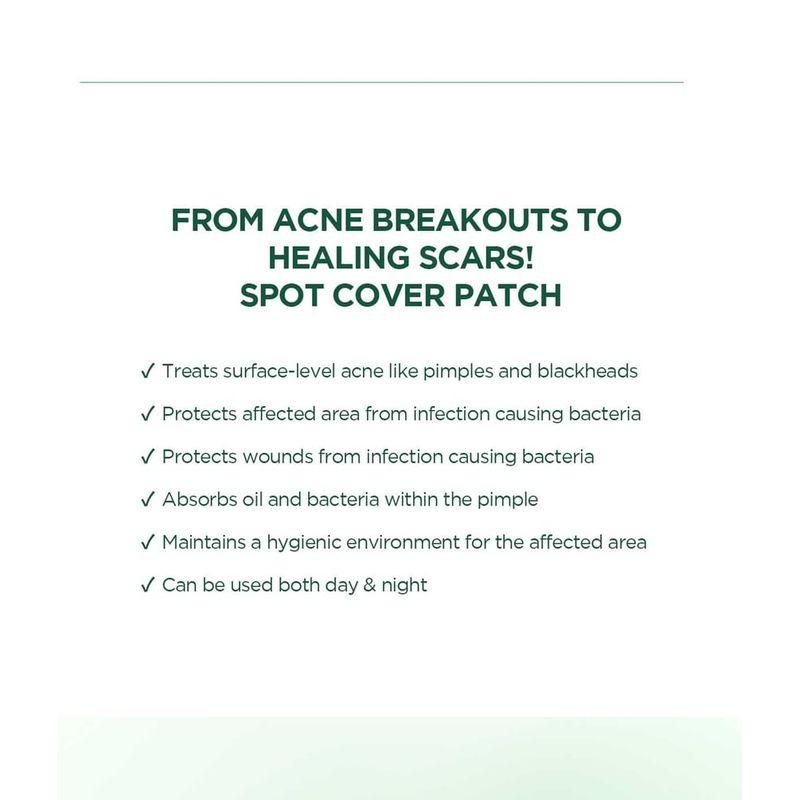 SKIN 1004 - Spot Cover Patch