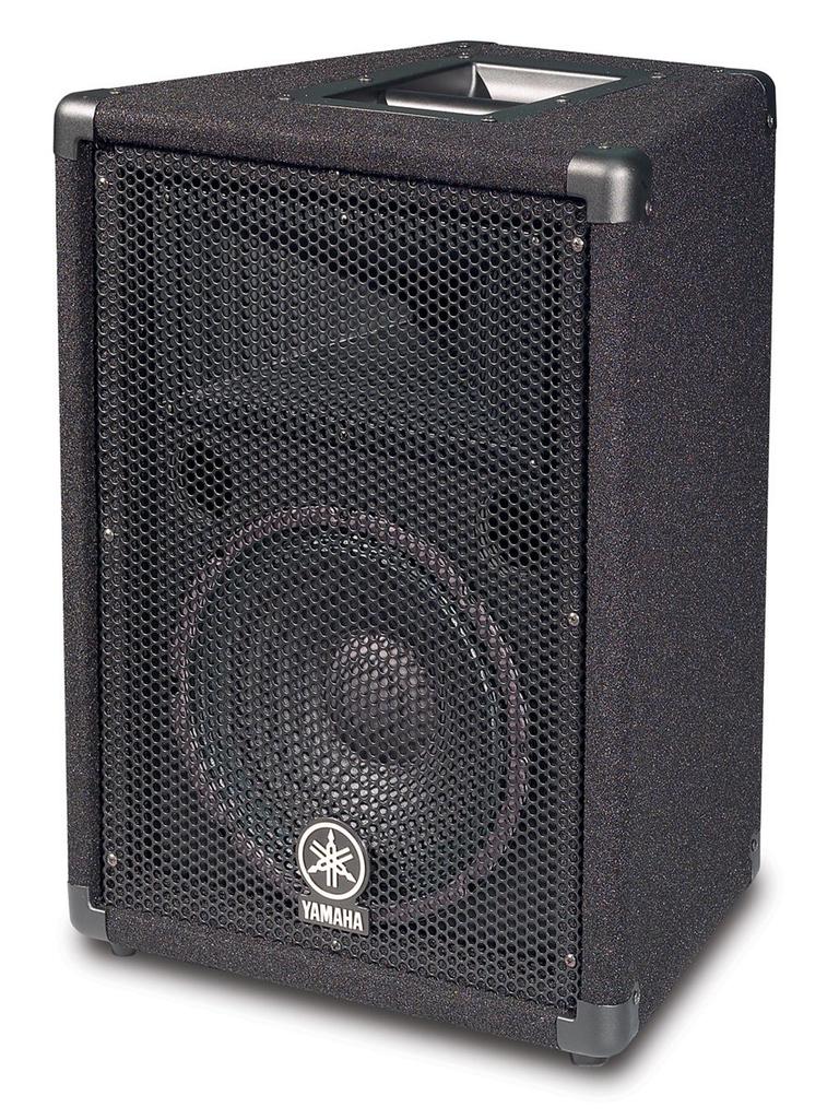 Yamaha BR12 12-Inch 2-Way Loudspeaker System