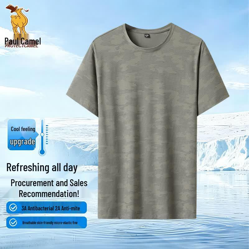 Paul Camel Men s Quick-Dry Ice Silk Short Sleeve T-shirt 4XL