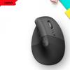 Periferice pentru calculatoare – Mouse-uri