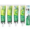Teabeth Longjing Green Tea & Mint Toothpaste Set