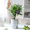 10pcs/20pcs Rustic Wooden Plant Labels T-Shaped Garden Signs Blackboard Message Board Floor Mount Garden Label Garden Supplies