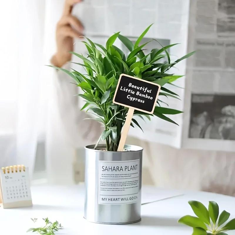 10pcs/20pcs Rustic Wooden Plant Labels T-Shaped Garden Signs Blackboard Message Board Floor Mount Garden Label Garden Supplies