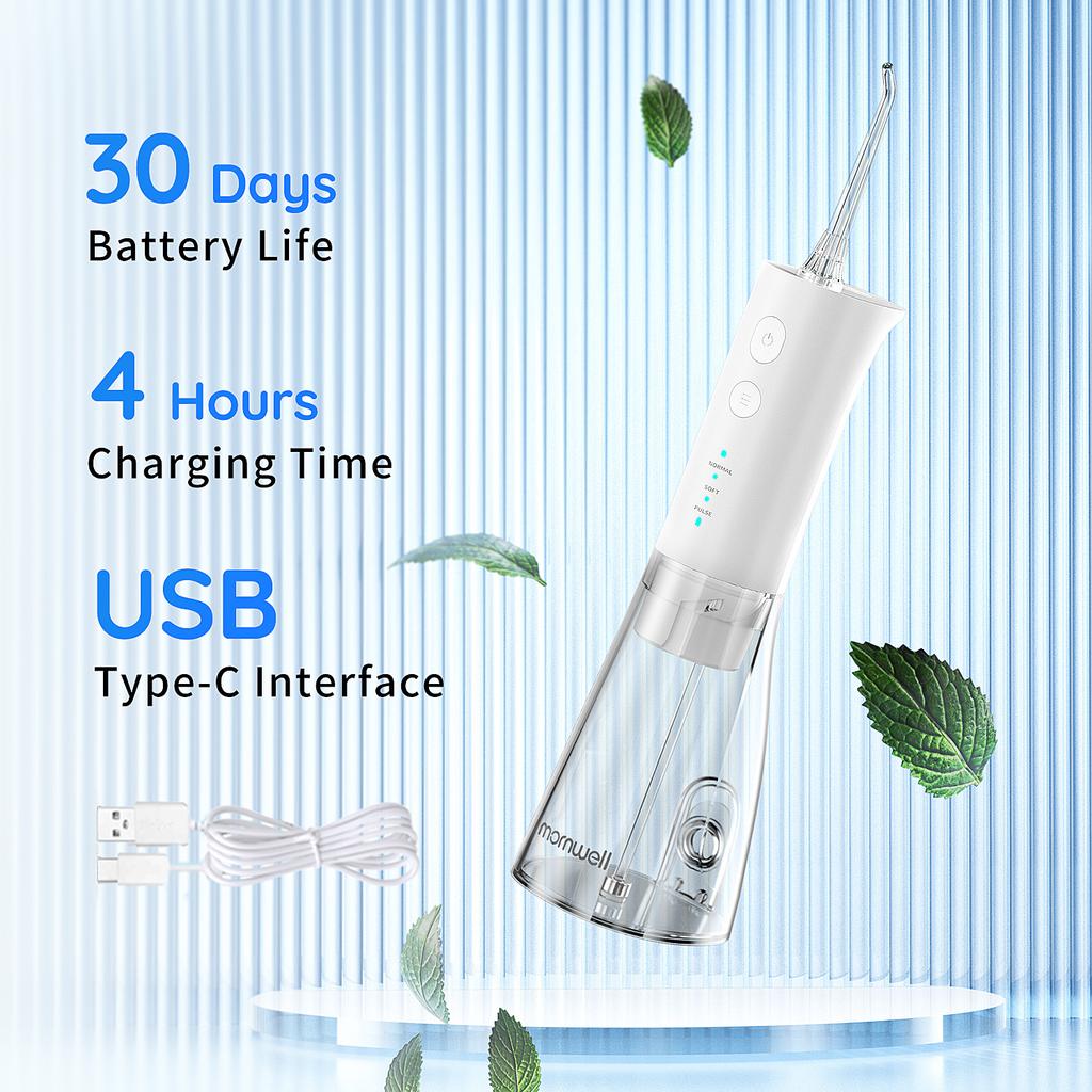 1PC Dental Water Jet 3 režimy Water Flosser ústní irigátor na zuby Dobíjecí přenosný 300ml vodní čistič zubů