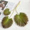 Artificial Leaf No-Maintenance Long-Lasting Freshness Realistic Fan-Shaped Leaves High-Simulation Texture Fake Tropical Leaves Home Decor