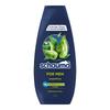 Schauma For Men Shampoo 400Ml