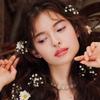 Van Gogh Eyeshadow Palette 09 Almond Blossom